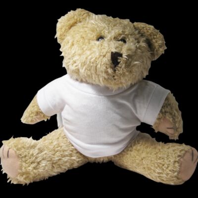 Soft Toy - Shaggy Bear Thumbnail